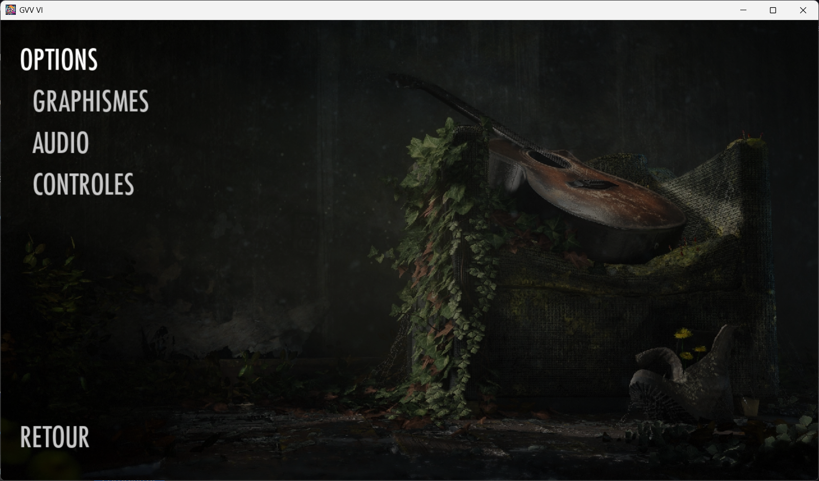 Project image